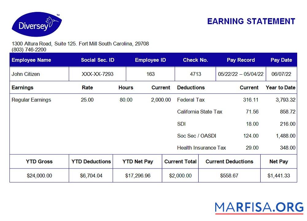 Downloadable USA Diversey household goods company pay stub real example